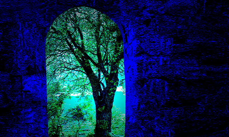 Abstract image of a tree viewed through a window. Keywords: vertical, blue, green, tree, stone, bricks, nature, illustration, new art, Norway, artwork, photo art, dreamy, fantasy, water, colours, colors, artistic, creative, nobody, art, Europe, window, abstract 
 Modelreleased: N/A
 Property Released: N/A
 Photolibrary, Monsoon Images, 0608