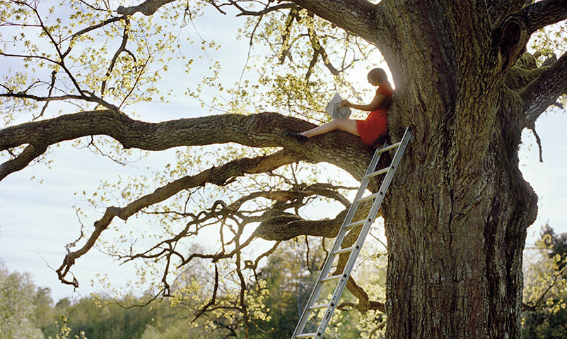 Kvinna i röd klänning sitter i en stor ek och läser en bok med en stege lutad mot trädet en solig dag.